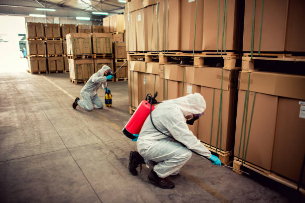 Best Best Pest Control Companies  in Universal City, TX