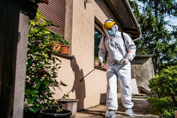 Best Pest Control Near Me in Universal City, TX