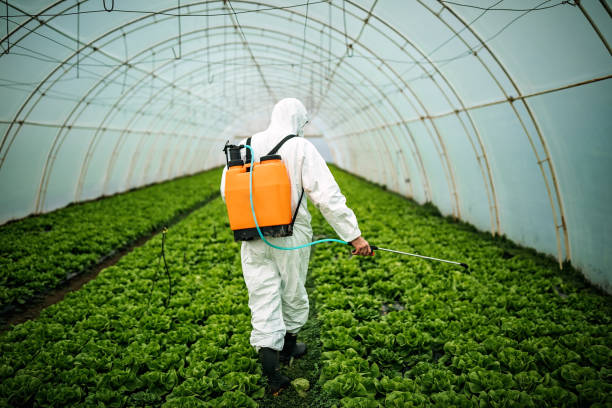 Best Pest Control for Businesses  in Universal City, TX
