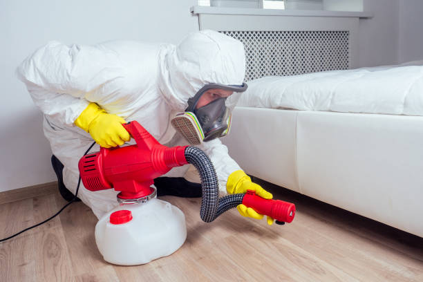 Best Commercial Pest Control Services  in Universal City, TX
