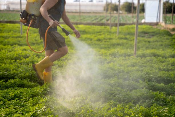 Best Pest Inspection Near Me  in Universal City, TX