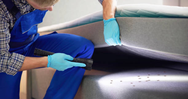 Best Best Pest Control Companies  in Universal City, TX