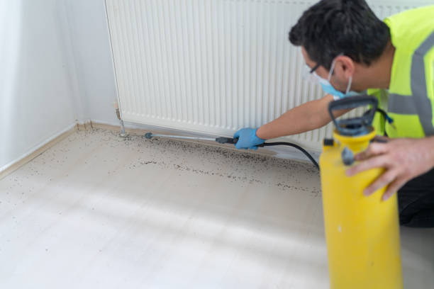 Best Bed Bug Extermination  in Universal City, TX