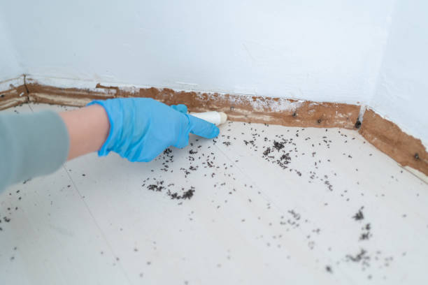 Wildlife Control Services in Universal City, TX