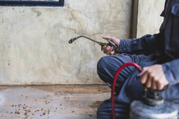  Universal City, TX Pest Control Pros